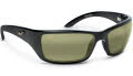 HT208-02 Gloss Black / HT Polarized lens