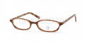 (0ET4) Brown Shell