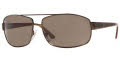 618/57 Shiny Brown / Polarized Brown lenses