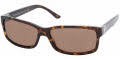 500373 Havana / Brown
