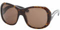 2AU8C1 Havana Brown