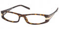 2AU1O1 Shiny Gold Tortoise