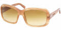 7773U1 Brown Camel / Brown Gradient