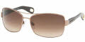 907113 Shiny Light Brown / Brown Gradient