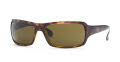 642 Tortoise frame/ Crystal Brown lenses