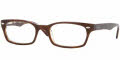2019 Brown / Transparent