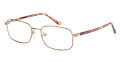 Gold/Tortoise(GOL)