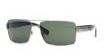 100171 Gunmetal/Gray Green lenses