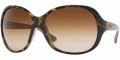 165813 Havana on Beige / Brown Gradient