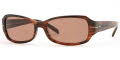 1565/60 Havana / Brown Gradient