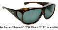 AV002 Dark Tortoise frames/ Polarized Grey lenses