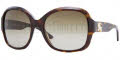 300213 Tortoise / Brown Gradient