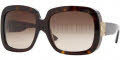 300213 Tortoise / Brown Gradient