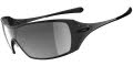 (05-660) Polished Black / Black Gradient lenses