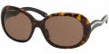 2AU8C1 Havana / Brown