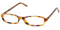 5031 Tortoise