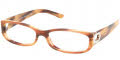 5146 Brown Striped Red 