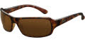 642 Tortoise frame/ Crystal Brown lenses