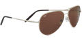 (7270) Shiny Silver / Drivers Polarized lenses