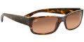 7240 Dark Demi Tortoise / Drivers Gradient