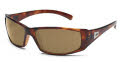 PRPPBRTT Tortoise / Polarized Brown lenses