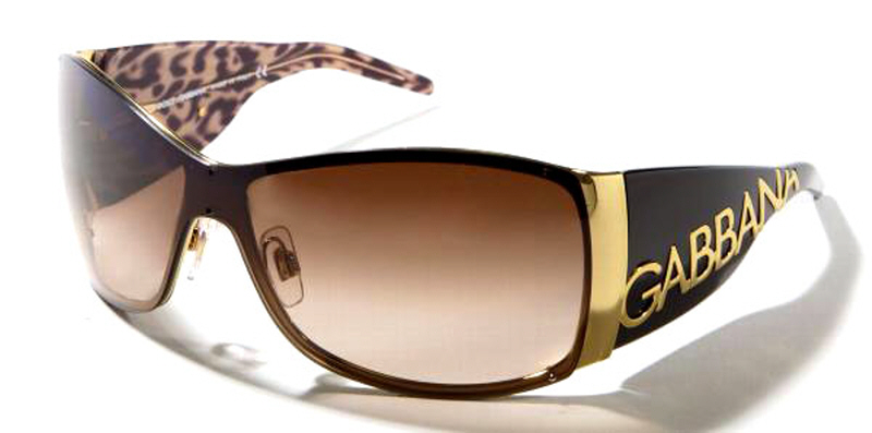 Dolce & Gabbana DG 2019 sunglasses