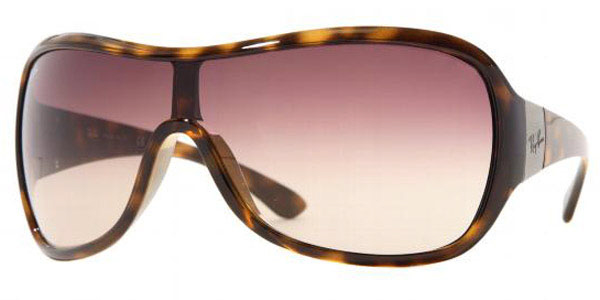 Ray Ban 4099 sunglasses