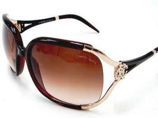 roberto cavalli lentes