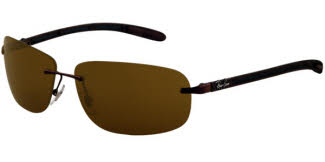 RayBan 8303 Sunglasses