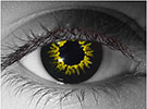 Gothika Black Wolf Halloween Contact Lenses