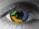 Gothika Patchwork Halloween Contact Lenses