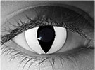 Gothika White Cat Halloween Contact Lenses