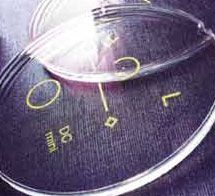 Progressive Lenses from FramesDirect.com
