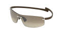 Havana - Shiny Palladium / Brown Gradient Lenses (202)