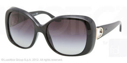 Ralph Lauren Sunglasses RL8068