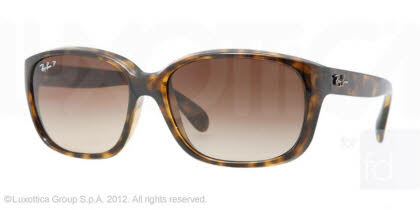 RayBan Sunglasses RB4161