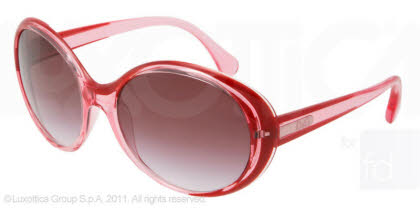 D&G Sunglasses DD 8093