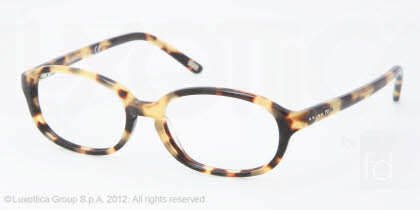 Polo Prep Eyeglasses PP8516