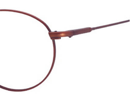 Safilo Team Eyeglasses T 3900 (Elasta 8 Spring Hinge)