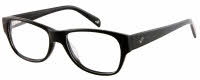 William Rast WR 1037 Eyeglasses