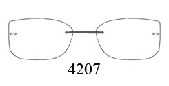 4207