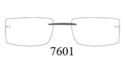 7601