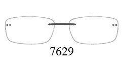 7629