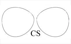 CS