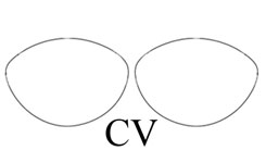 CV