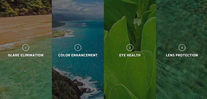 Exploring the Maui Jim Lens Colors