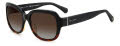 Kate Spade Layne/S Black Shaded Havana (W4A) Sunglasses - Color Image
