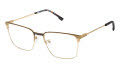 XXL Swarm Gold Eyeglasses - Color Image