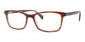 Adensco Ad 237 Havana Violet (0AY0) Eyeglasses - Color Image