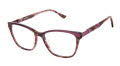 Alexander Clover Magenta Shell Eyeglasses - Color Image